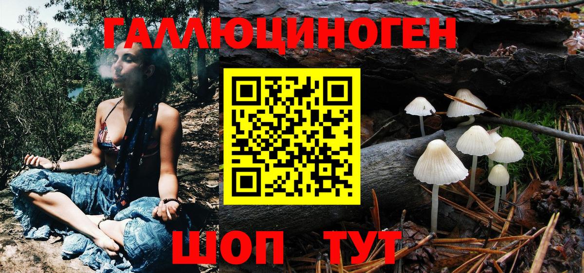 Галлюциногенные грибы прущие грибы Шелехов